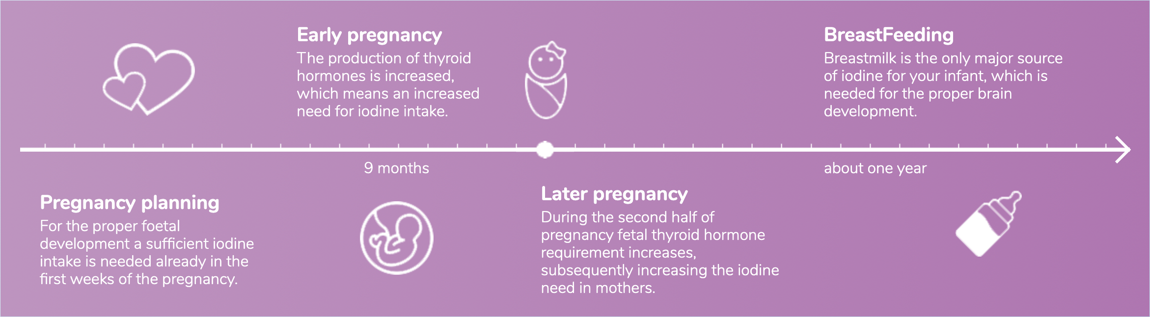 From pregnancy to Breastfeeding