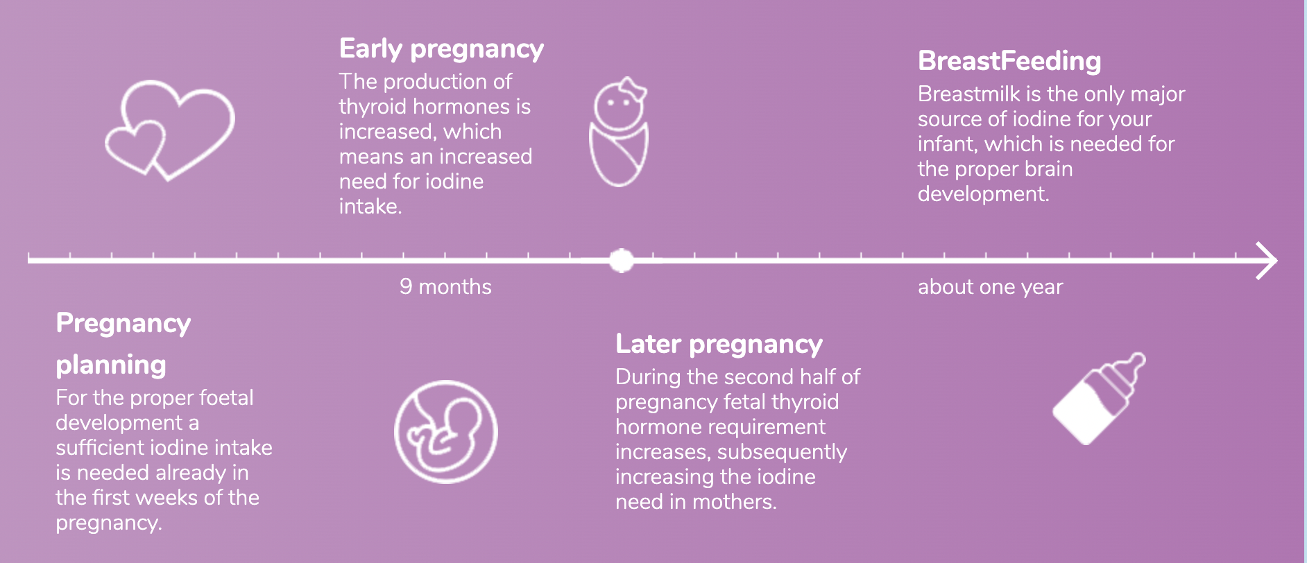 From pregnancy to Breastfeeding